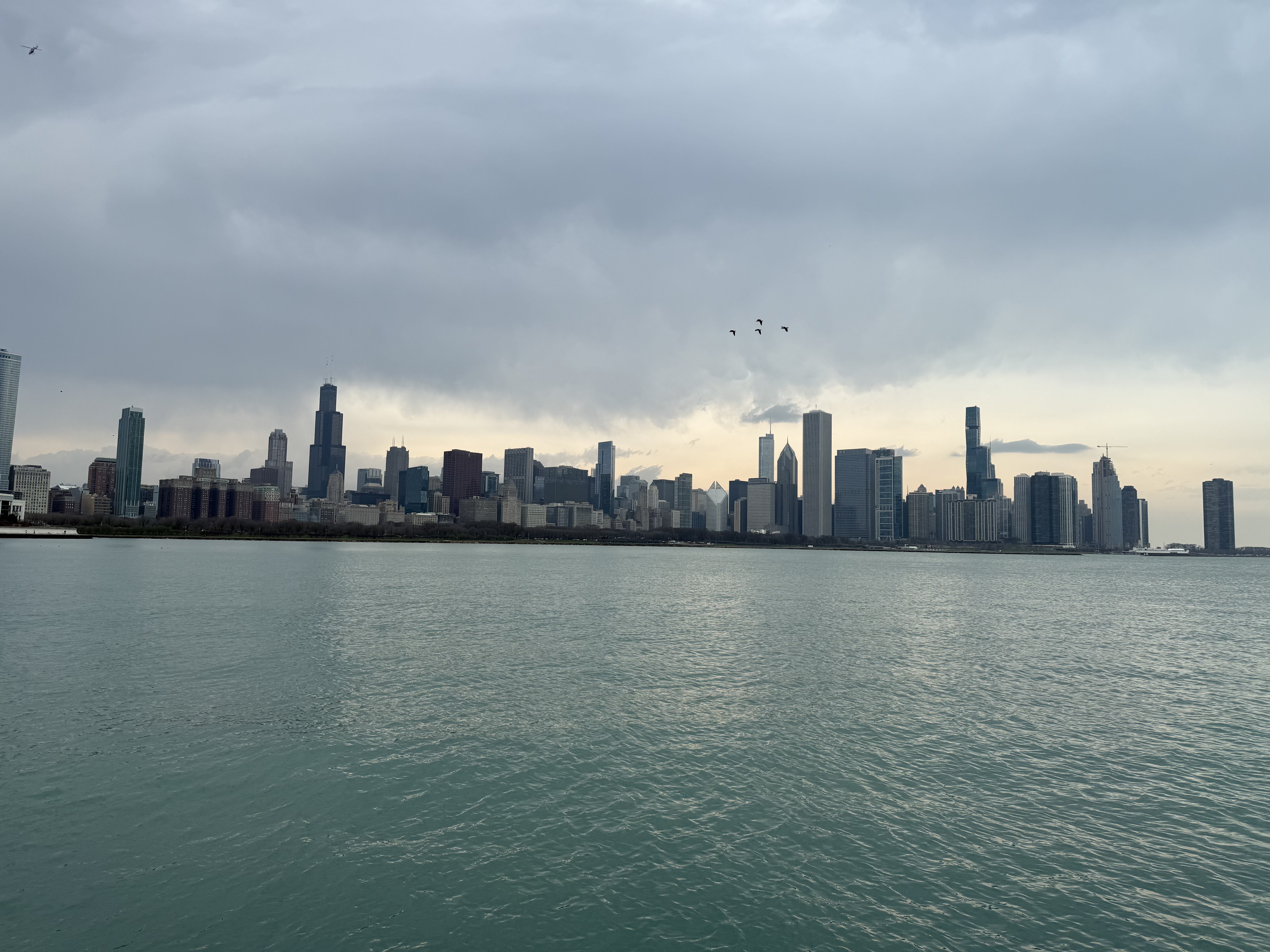Chicago skyline viewed from the lakefront